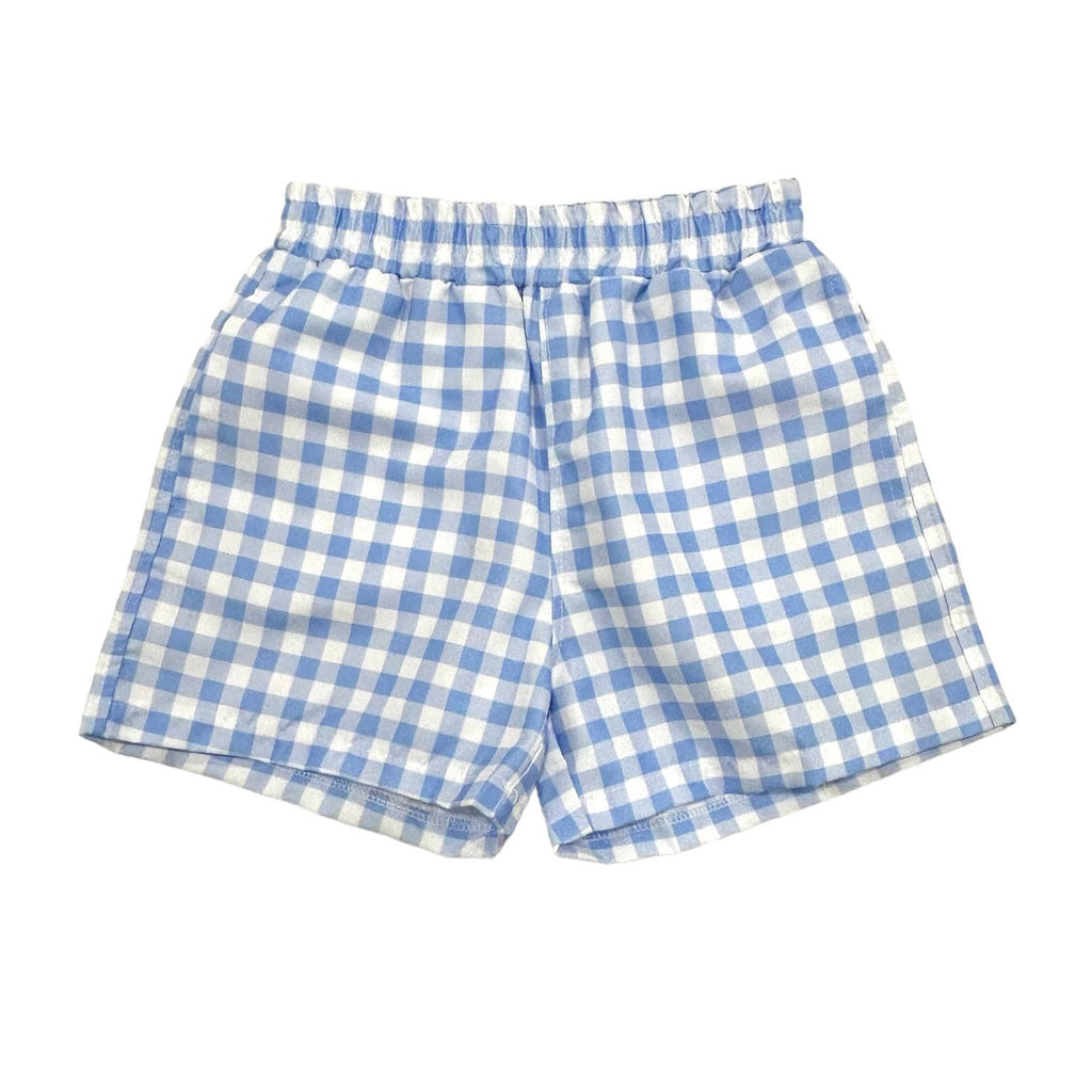 Blue Gingham Boys Summer Swim Shorts